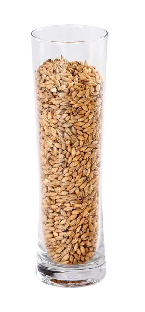 MALTA IREKS MUNICH MALT                      