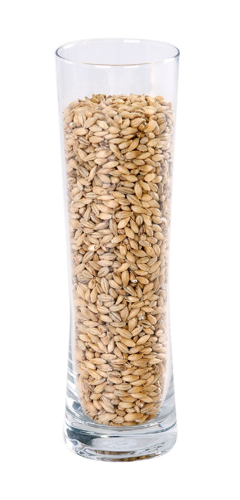 MALTA IREKS PILSNER MALT                     