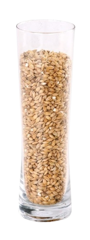 MALTA IREKS SOUR MALT                        