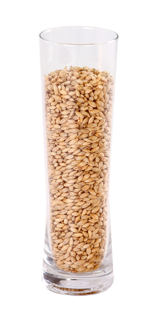 MALTA IREKS VIENNA MALT                      