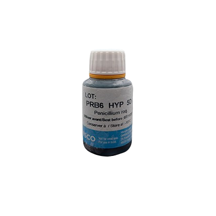 FERMENTO AFINADO PRB6 HYP 5 D