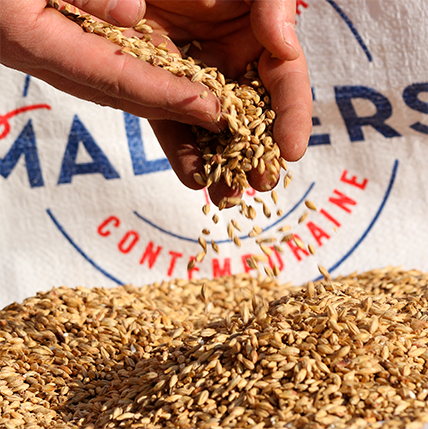 MALTA PALE ALE MALTIERS     