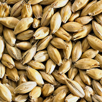 [SMBPAM] MALTA BEST PALE ALE MALT