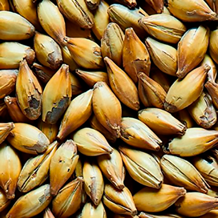 [SMCDMED] MALTA CRYSTAL DARK MEDIUM               