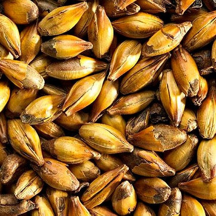 [SMCED] MALTA CRYSTAL EXTRA DARK