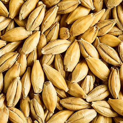 [SMDM] MALTA DEXTRIN MALT