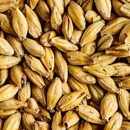 [SMPEC] MALTA PREMIUM ENGLISH CARAMALT