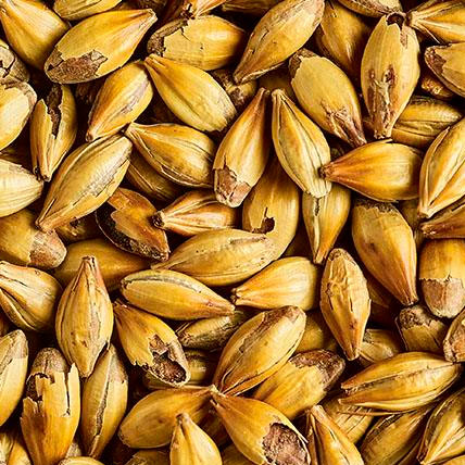 [SMSDRC] MALTA SIMPSONS DRC