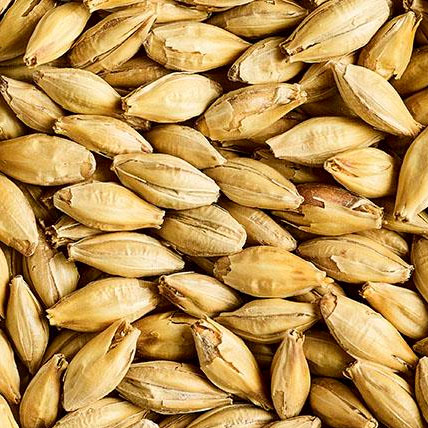 [SMVM] MALTA VIENNA MALT