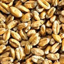MALTA WHEAT MALT