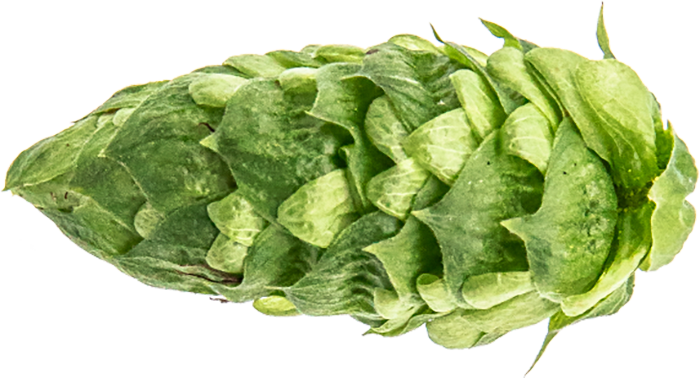 CRYOPELLET SIMCOE 2023