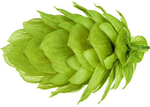 LLÚPOL NELSON SAUVIN PELLET 