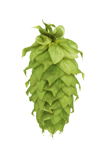 [AGLPWAI24] LÚPULO WAIMEA PELLET HOP REV. 2024