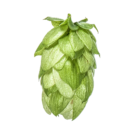 LÚPULO WAI-ITI PELLET YAKIMA 2024