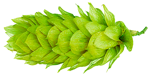 LLÚPOL RAKAU PELLET 