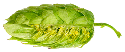 LLÚPOL AMARILLO PELLET 