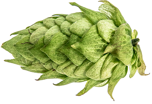 CRYOPELLET CENTENNIAL 