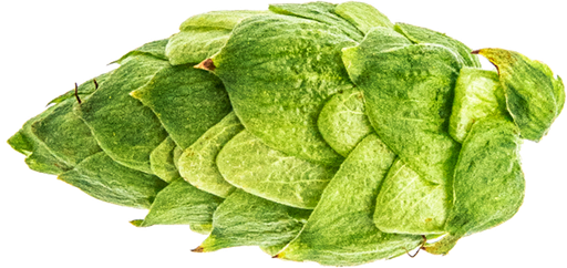 CRYOPELLET CITRA 1KG
