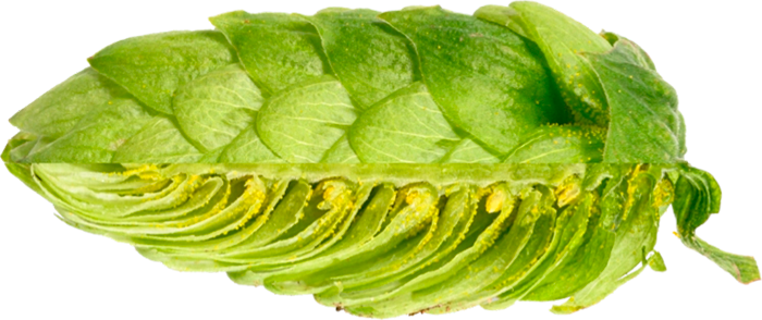 LLÚPOL CASCADE PELLET 2023 Y