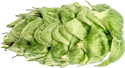 CRYOPELLET SABRO     