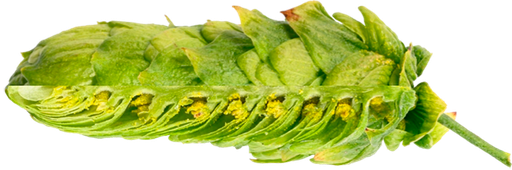 LLÚPOL HUELL MELON PELLET 
