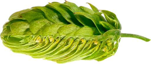LÚPULO MITTELFRÜH PELLET