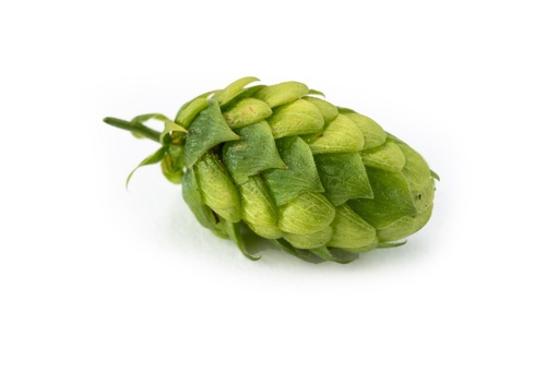 [AGLPPER24] LÚPULO PERLE PELLET HVG 2024