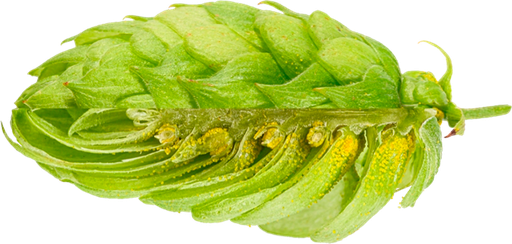 LLÚPOL PERLE PELLET 