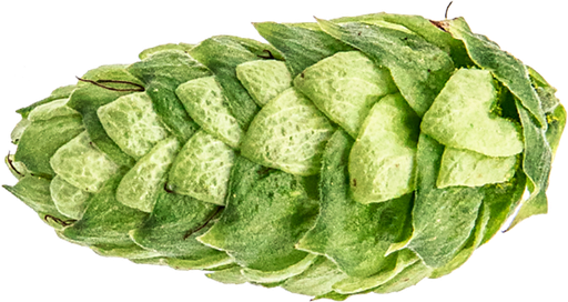 CRYOPELLET LORAL 