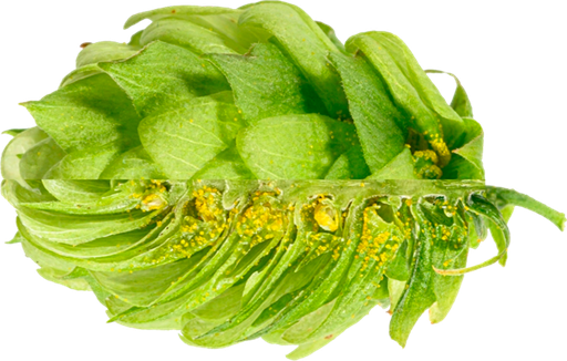 LUPULO SAPHIR PELLET