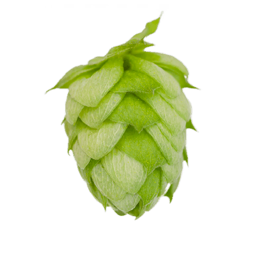 [AGLPAZACGX] CGX AZACCA CRYOGENIC LUPULIN PELLET 2024