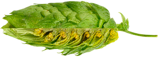 LÚPULO MISTRAL PELLET ECO