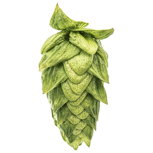 LÚPULO CASCADE YAKIMA