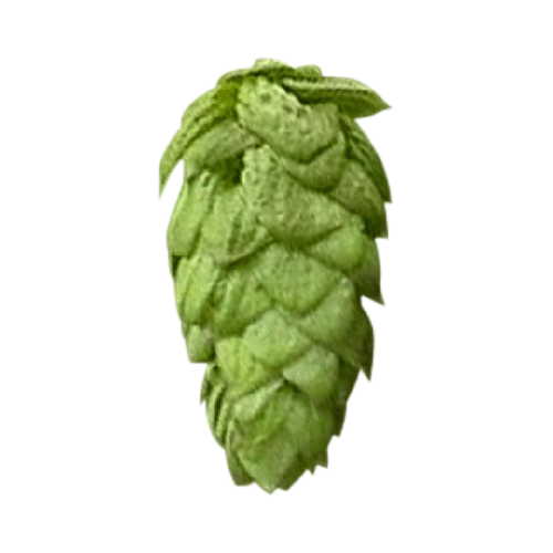 LLÚPOL CHALLENGER CHARLES FARAM