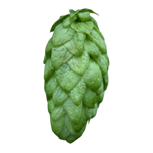 LLÚPOL FUGGLE CHARLES FARAM