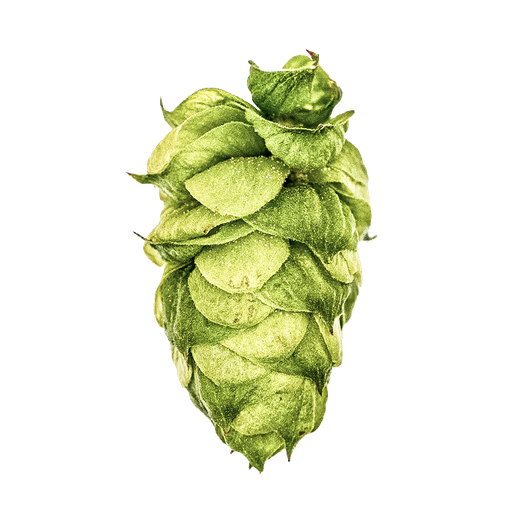 LLÚPOL  DOLCITA YAKIMA