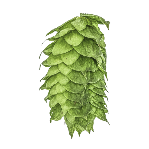 LÚPULO HBC 638 YAKIMA