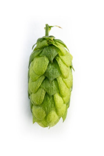 LÚPULO HERSBRUCKER PELLET HVG 