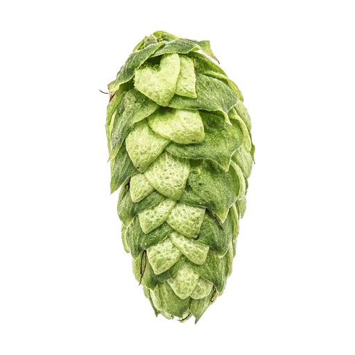 LÚPULO LORAL YAKIMA