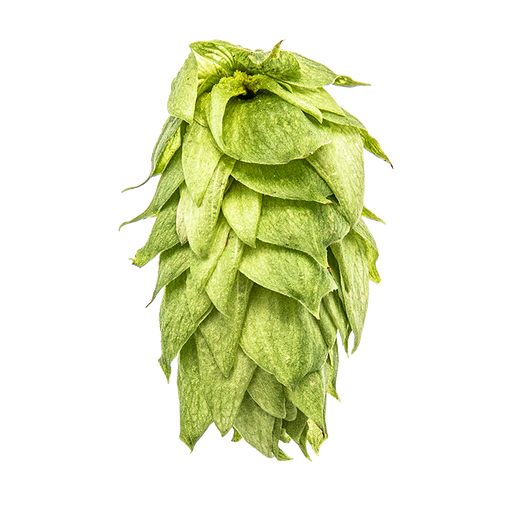 [AGLPPAL] LÚPULO PALISADE YAKIMA