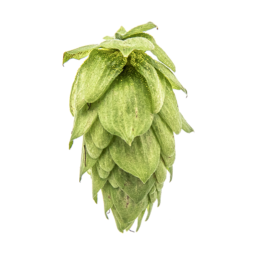 [AGLPSAC25] LÚPULO SORACHI ACE PELLET YAKIMA 