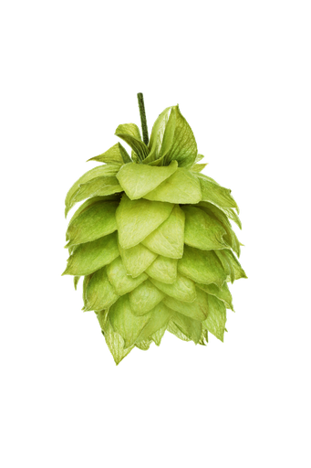 LÚPULO WAI-ITI PELLET HOP REVOLUTION 