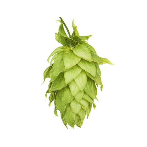 LLÚPOL MOTUEKA PELLET HOP REVOLUTION 