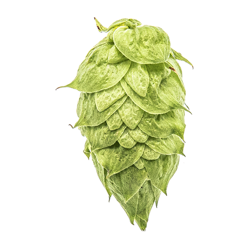 LÚPULO CRYO HOPS EKUANOT PELLET YAKIMA 