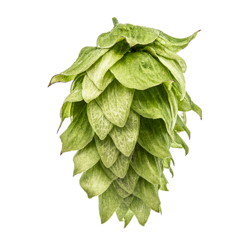 LÚPULO CRYO HOPS CHINOOK PELLET YAKIMA