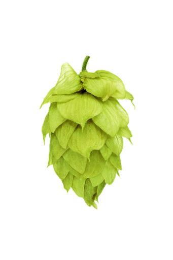 LÚPULO KOHATU PELLET HOP REVOLUTION