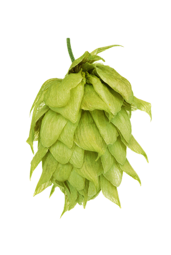 LLÚPOL RIWAKA PELLET HOP REVOLUTION 