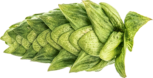 [AGLPCAS22ORG] LÚPULO ECO CASCADE PELLET 2022