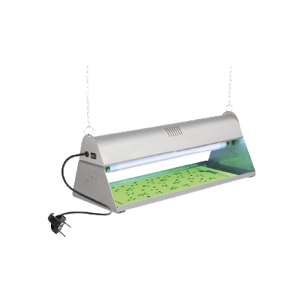 [ALAJ80000] INSECTOCUTOR ADHESIVO 210x500x183MM 15W