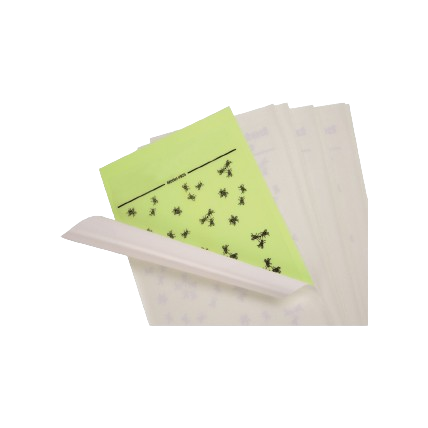 [ALAKJ2000] RECAMBIO ADHESIVO PARA INSECTOCUTORES AJ6000/AJ8000  